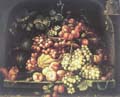 Fruit Oil Painting